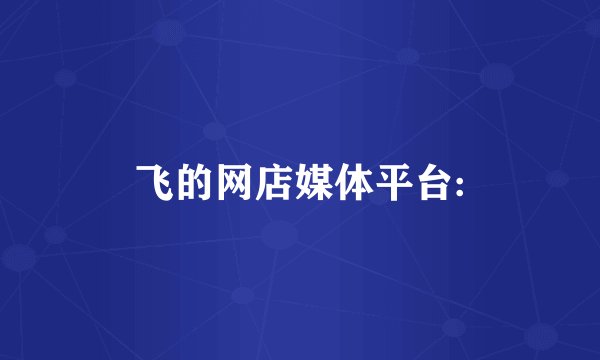 飞的网店媒体平台: