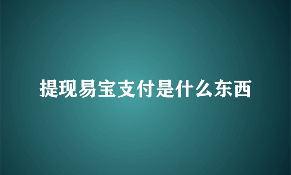 提现易宝支付是什么东西