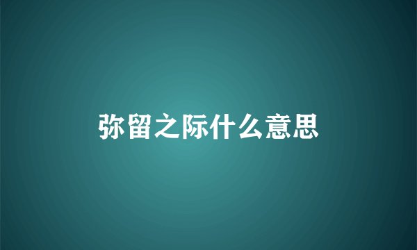 弥留之际什么意思