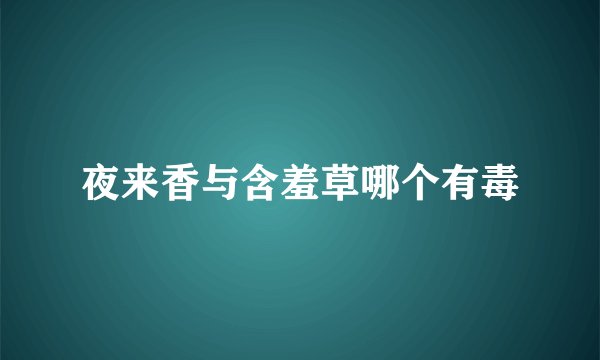 夜来香与含羞草哪个有毒