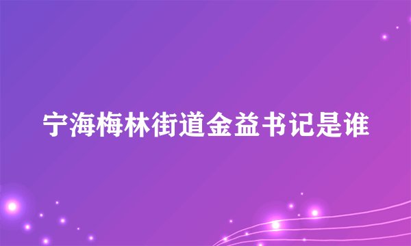 宁海梅林街道金益书记是谁
