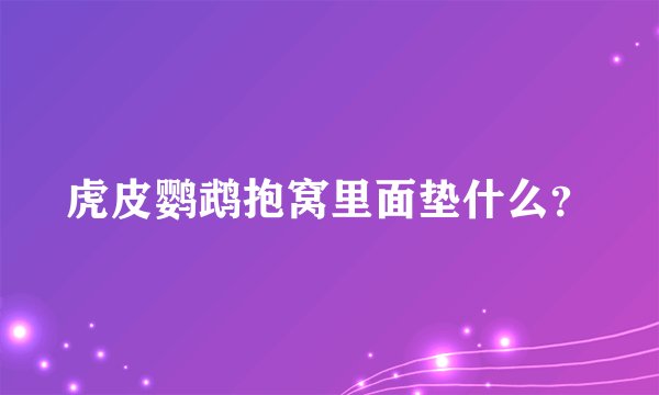 虎皮鹦鹉抱窝里面垫什么?