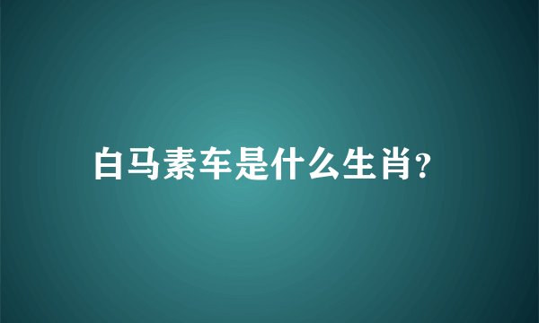 白马素车是什么生肖？