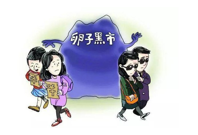 大学女生卖卵子获得了15万元的酬金,这对身体有什么危害?