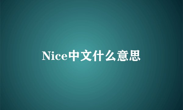 Nice中文什么意思
