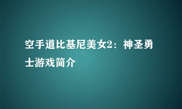 空手道比基尼美女2:神圣勇士游戏简介