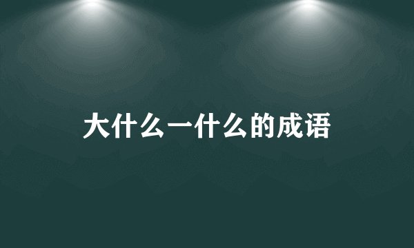 大什么一什么的成语
