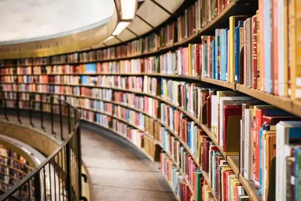 杭州执教14年第一次碰到6年级孩子看言情成风气，怎样给孩子选书？