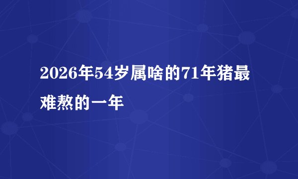 2026年54岁属啥的71年猪最难熬的一年