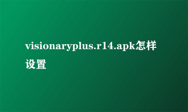 visionaryplus.r14.apk怎样设置