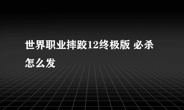 世界职业摔跤12终极版 必杀怎么发