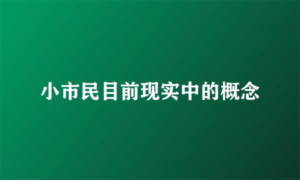 小市民目前现实中的概念