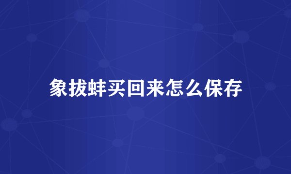 象拔蚌买回来怎么保存