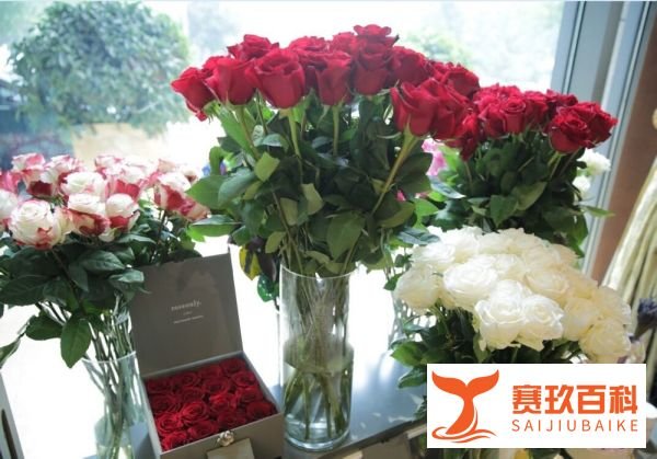白色情人节是什么意思