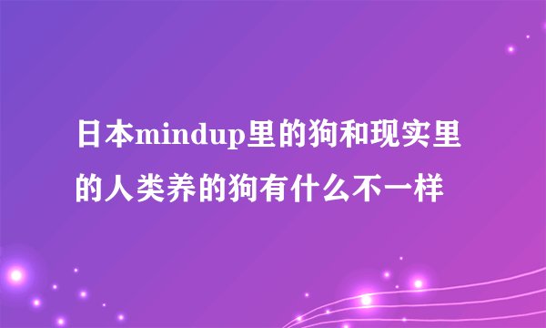 日本mindup里的狗和现实里的人类养的狗有什么不一样