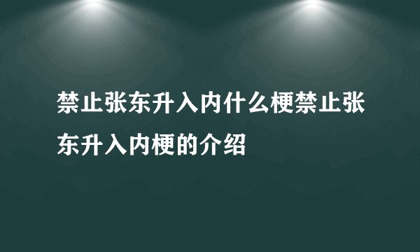 禁止张东升入内什么梗禁止张东升入内梗的介绍