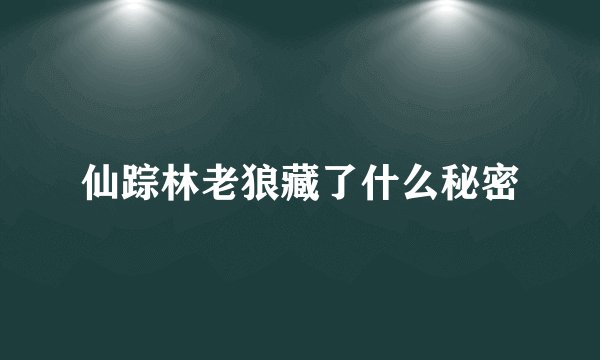 仙踪林老狼藏了什么秘密