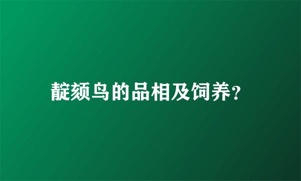 靛颏鸟的品相及饲养？