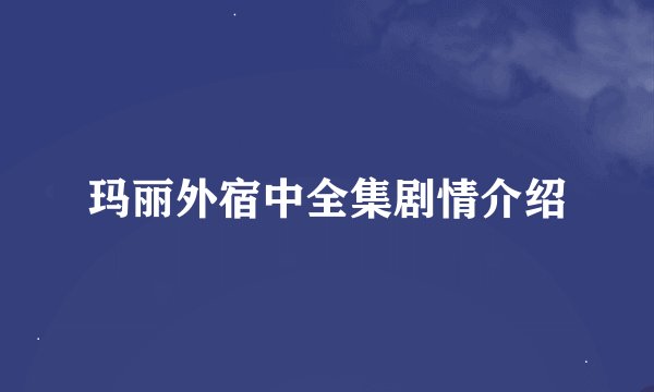 玛丽外宿中全集剧情介绍