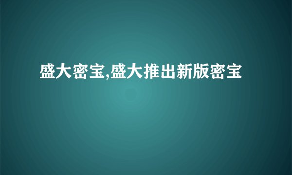 盛大密宝,盛大推出新版密宝