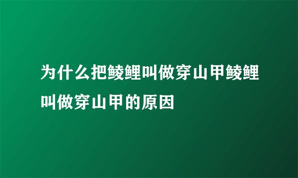 为什么把鲮鲤叫做穿山甲鲮鲤叫做穿山甲的原因