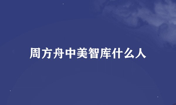 周方舟中美智库什么人