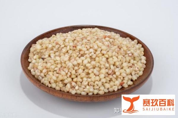 五大酵米面食物