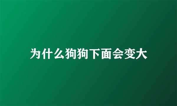 为什么狗狗下面会变大