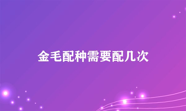 金毛配种需要配几次