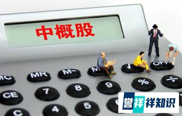美SEC又将11家中概股加入“预摘牌名单”