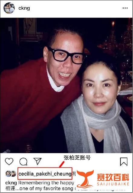 活久见!张柏芝凌晨点赞王菲:世纪情敌和好了?
