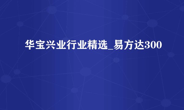 华宝兴业行业精选_易方达300