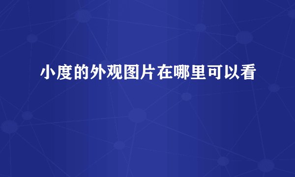 小度的外观图片在哪里可以看