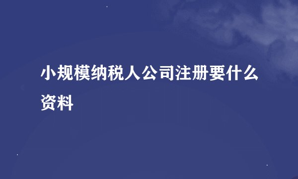 小规模纳税人公司注册要什么资料