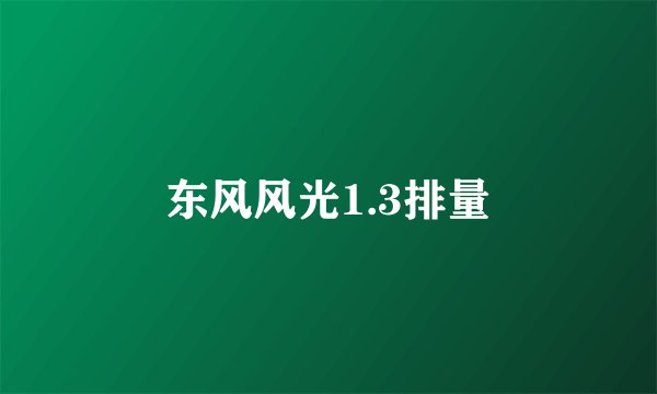 东风风光1.3排量