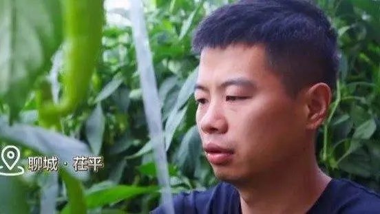 优秀!山东一村8090后全部回村就业!现在回村干什么有发展前景?