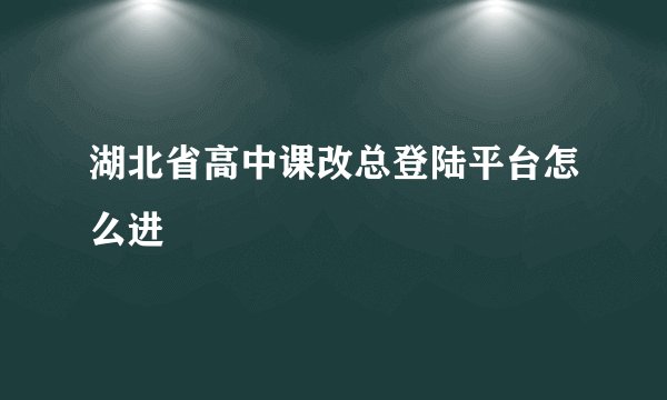 湖北省高中课改总登陆平台怎么进