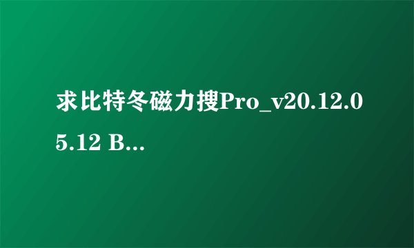 求比特冬磁力搜Pro_v20.12.05.12 BT种子磁力搜索工具的网盘下载链接