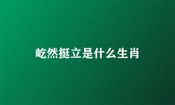 屹然挺立是什么生肖