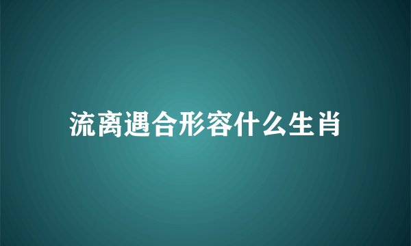 流离遇合形容什么生肖
