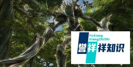 时空裂痕职业介绍四大职业定位方法