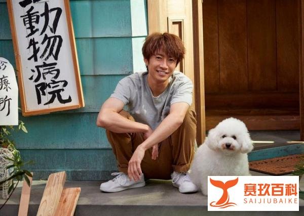 日本综艺节目推荐之天才!志村动物园