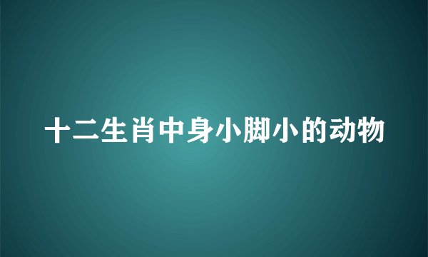 十二生肖中身小脚小的动物