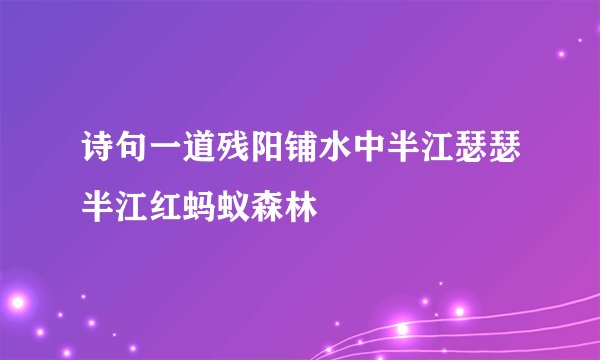 诗句一道残阳铺水中半江瑟瑟半江红蚂蚁森林