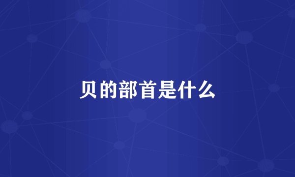 贝的部首是什么