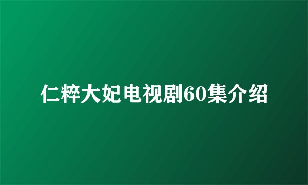 仁粹大妃电视剧60集介绍