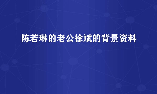 陈若琳的老公徐斌的背景资料