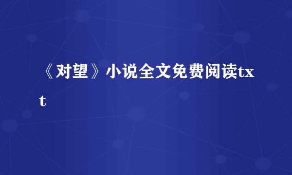 《对望》小说全文免费阅读txt