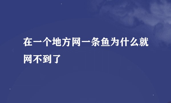 在一个地方网一条鱼为什么就网不到了