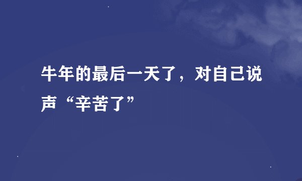 牛年的最后一天了,对自己说声“辛苦了”